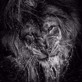 jacoblee1368's profile picture. 