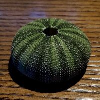 うにずき (@unizuki14) 's Twitter Profile