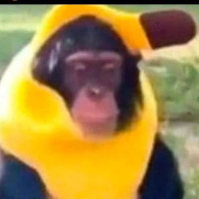 Ravignoli's profile picture. 