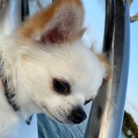 ゆーじぇい (@youjay88) 's Twitter Profile