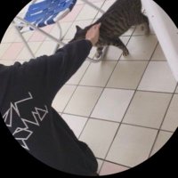 。 (@zhuoyuan42187) Twitter profile photo
