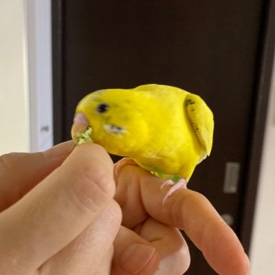 t72343880's profile picture. 