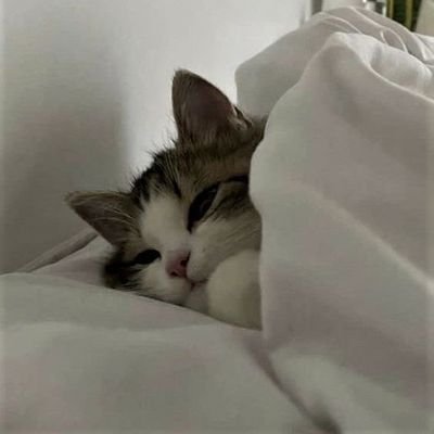 @agxwmenh