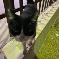 juliet (@theoverloverr) 's Twitter Profile