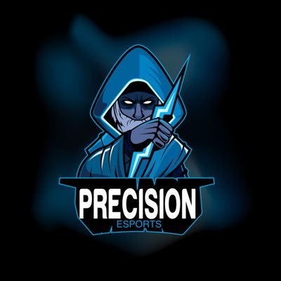 owner of team precision