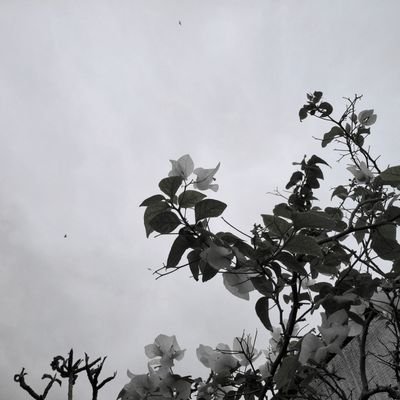 SZNaqvi36's profile picture. Medical Student interested in AI and molecules