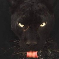 YAKUP (@yakup17256359) Twitter profile photo