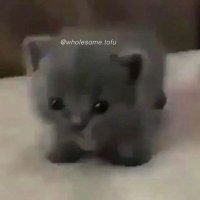 . (@mekessav) 's Twitter Profile