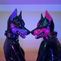 💜Ivy and Indica🩷 (@pinkpurplepups) 's Twitter Profile Photo 💜Ivy and Indica🩷 (@pinkpurplepups) 's Twitter Profile Photo