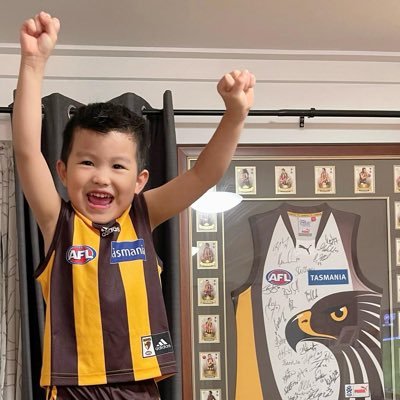 Hawthorn Hawks Fremantle Dockers