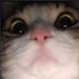 Stranger (@offlanergg) Twitter profile photo Stranger (@offlanergg) Twitter profile photo