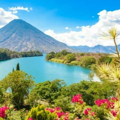 foxtrotcharlim2's profile picture. 