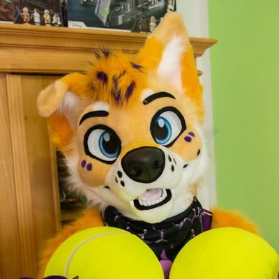 💜 Just a friendly, derp husky 💜 | 🇩🇪 Germany | Fursuiter | PM friendly | Car lover 🏁 | Modellcar collector | 🇩🇪 🇺🇸 | loves.... 🥎🥏🍔🍪🍹...🚀