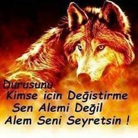 Mehmet (@msert2141) 's Twitter Profile