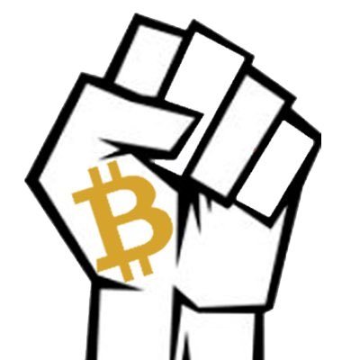CryptoRevoultFR's profile picture. 🇫🇷 II Décryptage, analyses & trading sur #Bitcoin et autres crypto - DM open for business