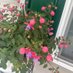 Diane Hall (@hall135477) Twitter profile photo Diane Hall (@hall135477) Twitter profile photo