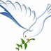 Blanca Paloma Supporter (@bpalomathedove) Twitter profile photo Blanca Paloma Supporter (@bpalomathedove) Twitter profile photo