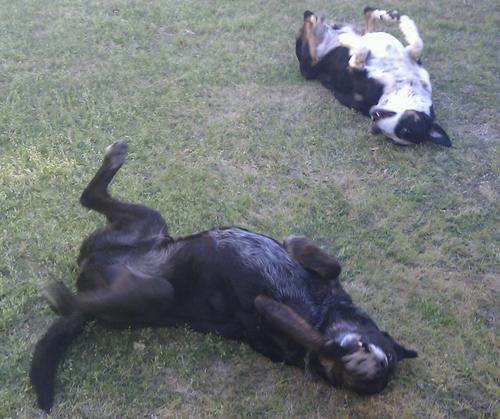 Loren300's profile picture. 