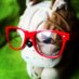 jorge pineda (@medicen_elperro) Twitter profile photo