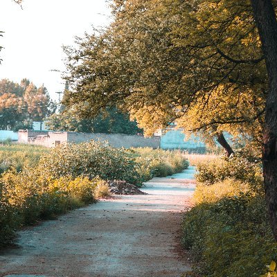 SaikatD2002's profile picture. I am a croyto Trader @OxyaOrigin