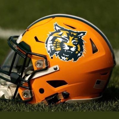 Forest Wildcat Football Profile