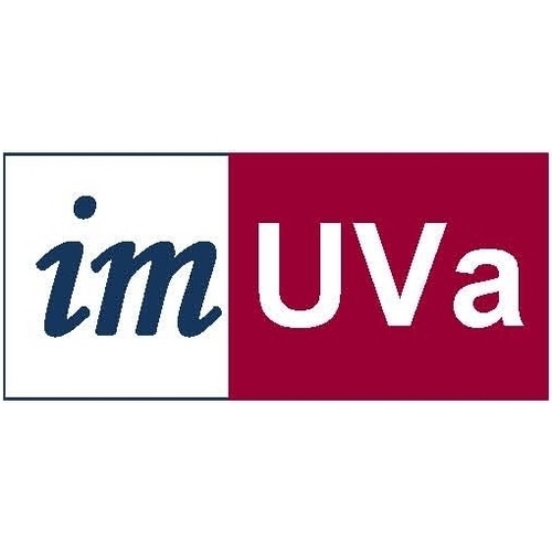 Instituto de Investigación en Matemáticas de la Universidad de Valladolid @UVa_es (IMUVa).  Mathematics Research Institute.