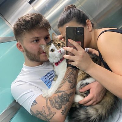 muhsinozangul's profile picture. ai pm