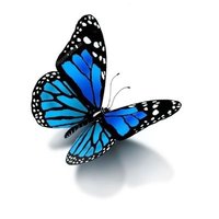 Masoumeh. M (@mahdinezhad_m) 's Twitter Profile