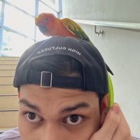eatlan (@idlann) 's Twitter Profile