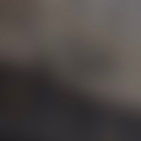 15782738383822 (@c65173) 's Twitter Profile