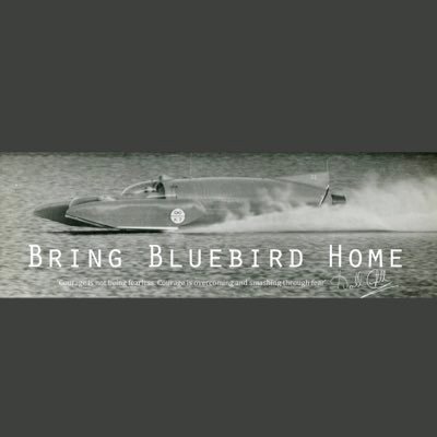 This is the official “Bring Bluebird Home” Twitter page.