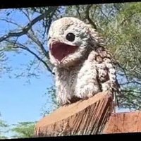 Rick (@ricktweets) 's Twitter Profile