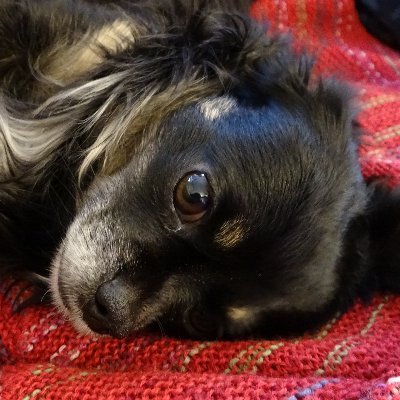 MadelenMauritse's profile picture. bio