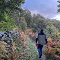 Andrés (@4m4ad) 's Twitter Profile