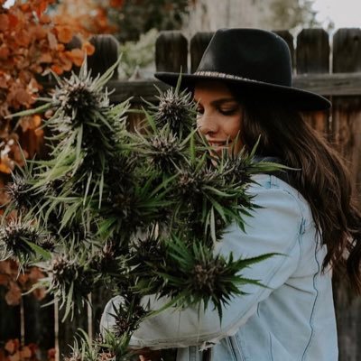 SARAH__Jain's profile picture. WE SELL AND DELIVER ALL STRAINS OF CANNABIS TO ALL PARTS OF THE COUNTRY… 🇺🇸🍁🍁.