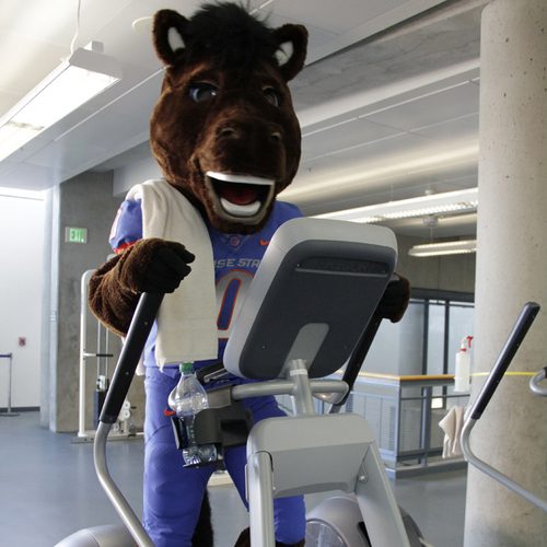 Official Twitter feed of Boise State University Recreation. Helping you maintain a healthy and active lifestyle. #boisestaterec