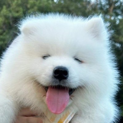 mamamamammam Profile