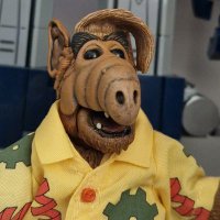 Horse (@starekonie) 's Twitter Profile Photo Horse (@starekonie) 's Twitter Profile Photo