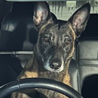 Charles Charles (@chdc2983) 's Twitter Profile Photo