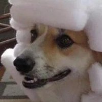CarlosLee (@carloslee293102) 's Twitter Profile