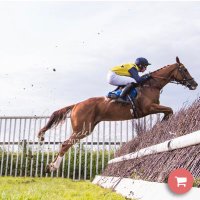 Sean O Connor (@seanoc129) 's Twitter Profile