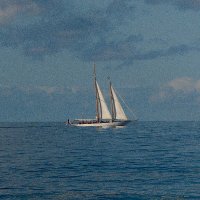 Shep Patterson (@shep0rd1) 's Twitter Profile