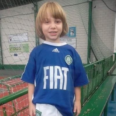PALMEIRAS  .