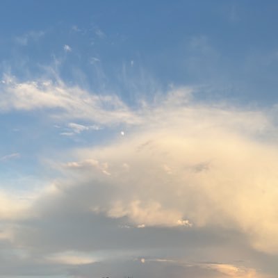 Marie07G's profile picture. 