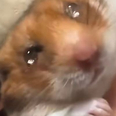 xUwHLenDrKG5h2Z's profile picture. 没有