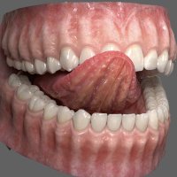 lowerlow (@lowerlow_) 's Twitter Profile Photo