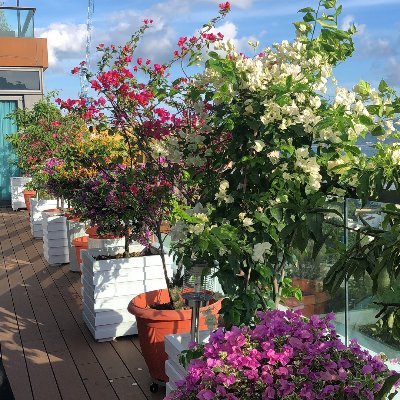 iamfishyy11's profile picture. 