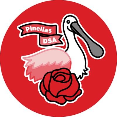 The official Twitter page of the Pinellas County Chapter of the Democratic Socialists of America @demsocialists