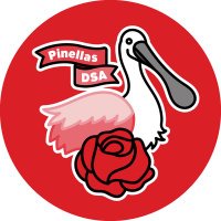 Pinellas DSA 🌹 (@pinellasdsa) 's Twitter Profile Photo Pinellas DSA 🌹 (@pinellasdsa) 's Twitter Profile Photo