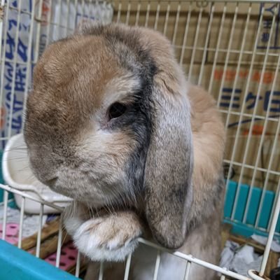 CrqOnNbfiA60760's profile picture. 琉大／工学部
3年生